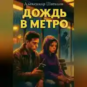 Постер книги Дождь в метро