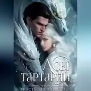 Постер книги Академия Совершенствующихся 2. Асы Тартарии