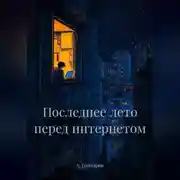 Постер книги Последнее лето перед интернетом