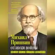 Постер книги Отзвуки войны. Жизнь после Первой мировой