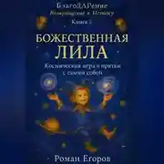Постер книги «Божественная Лила»
