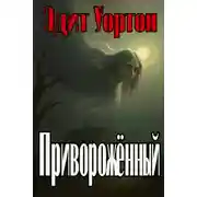 Постер книги Приворожённый