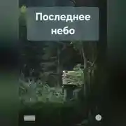 Постер книги Последнее небо