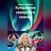 Постер книги Кундалини северного сияния