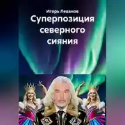 Постер книги Суперпозиция северного сияния