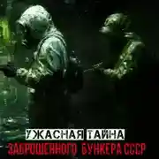 Постер книги Тайна за стальной дверью