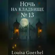 Постер книги Ночь на кладбище 13