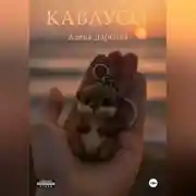 Постер книги Каваусо
