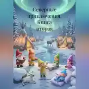Постер книги Книга вторая. Северные приключения