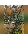 Нина Алешагина - Чертушки из сербской глубинки