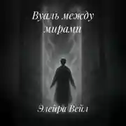 Постер книги Вуаль между мирами