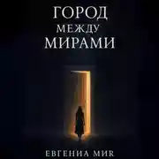 Постер книги Город между мирами