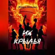 Постер книги Их крылья