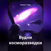 Постер книги Будни косморазведки