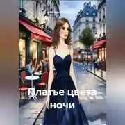 Постер книги Платье цвета ночи