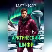 Постер книги Арктический шифр
