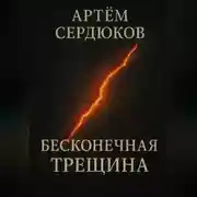 Постер книги Бесконечная трещина