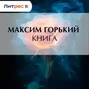 Постер книги Книга
