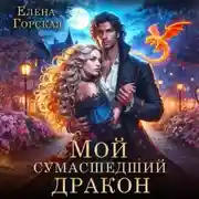 Постер книги Мой сумасшедший дракон