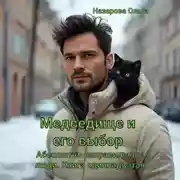 Постер книги Медведище и его выбор