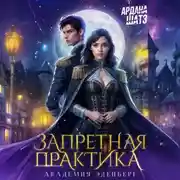 Постер книги Запретная практика