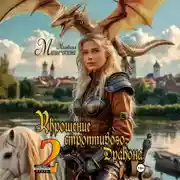 Постер книги Укрощение строптивого Дракона 2
