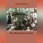 Постер книги Не обманула ведьма