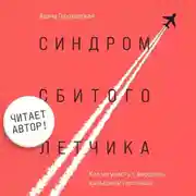 Постер книги Синдром сбитого летчика. Как не упасть с вершины карьерной лестницы (читает автор)