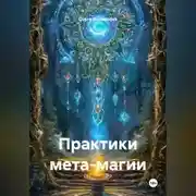 Постер книги Практики мета магии