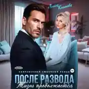 Постер книги После развода. Жизнь продолжается