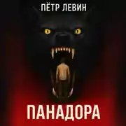 Постер книги Панадора