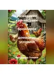 Владимир Ломаев - Разведение кур несушек и бройлеров в домашних условиях