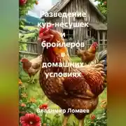 Постер книги Разведение кур несушек и бройлеров в домашних условиях