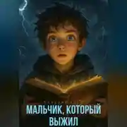 Постер книги Мальчик, Который Выжил