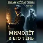Постер книги Хроники слепого сыщика. Книга первая. Мимолёт и его Тень.