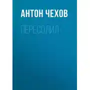 Постер книги Пересолил