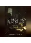 Максим Поселеннов - Поддельное дело