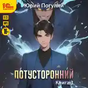 Постер книги Потусторонний. Книга 3