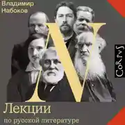 Постер книги Лекции по русской литературе
