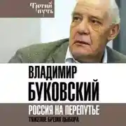 Постер книги На краю. Тяжелый выбор России