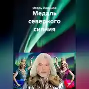 Постер книги Медаль северного сияния