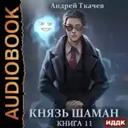 Постер книги Князь шаман. Книга 11