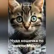 Постер книги Чудо кошечка по имени Молли!