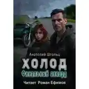 Постер книги Холод-6. Финальный аккорд