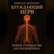 Постер книги Блуждающий Нерв: Тайное Руководство для Посвящённых