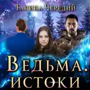 Постер книги Ведьма. Истоки