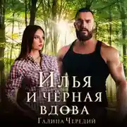 Постер книги Илья и черная вдова