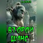 Постер книги Второй шанс