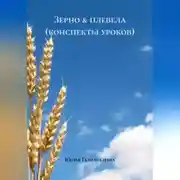 Постер книги Зерно &amp; плевела (конспекты уроков)