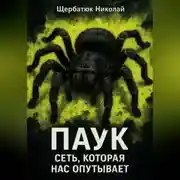 Постер книги Паук: Сеть, Которая Нас Опутывает